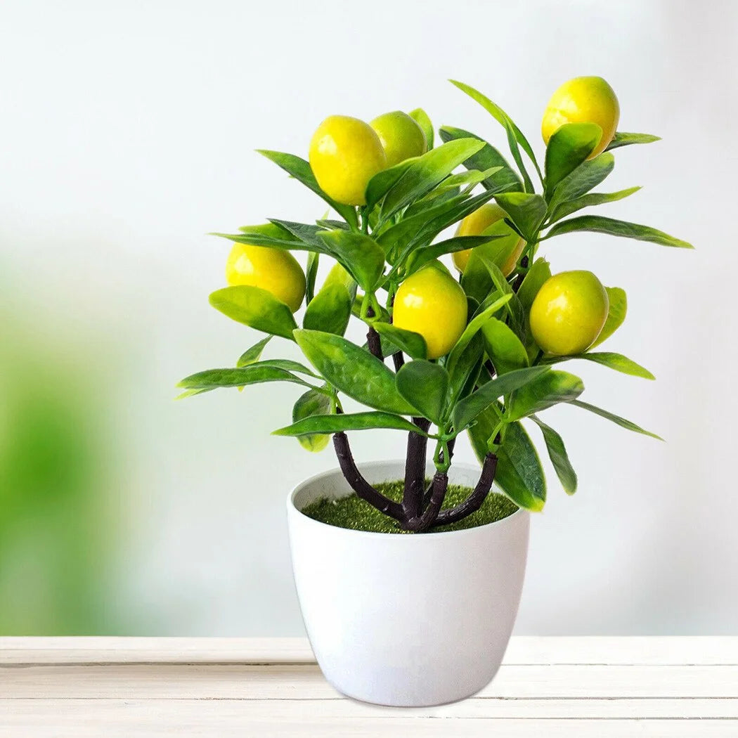 CITRONNIER ARTIFICIEL