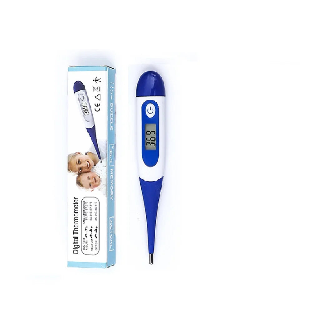 THERMOMETRE SONDE