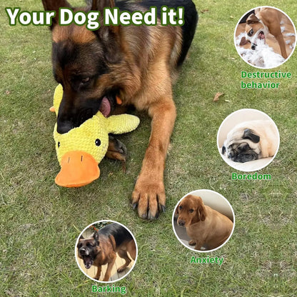 PELUCHE ANTI STRESS POUR CHIEN