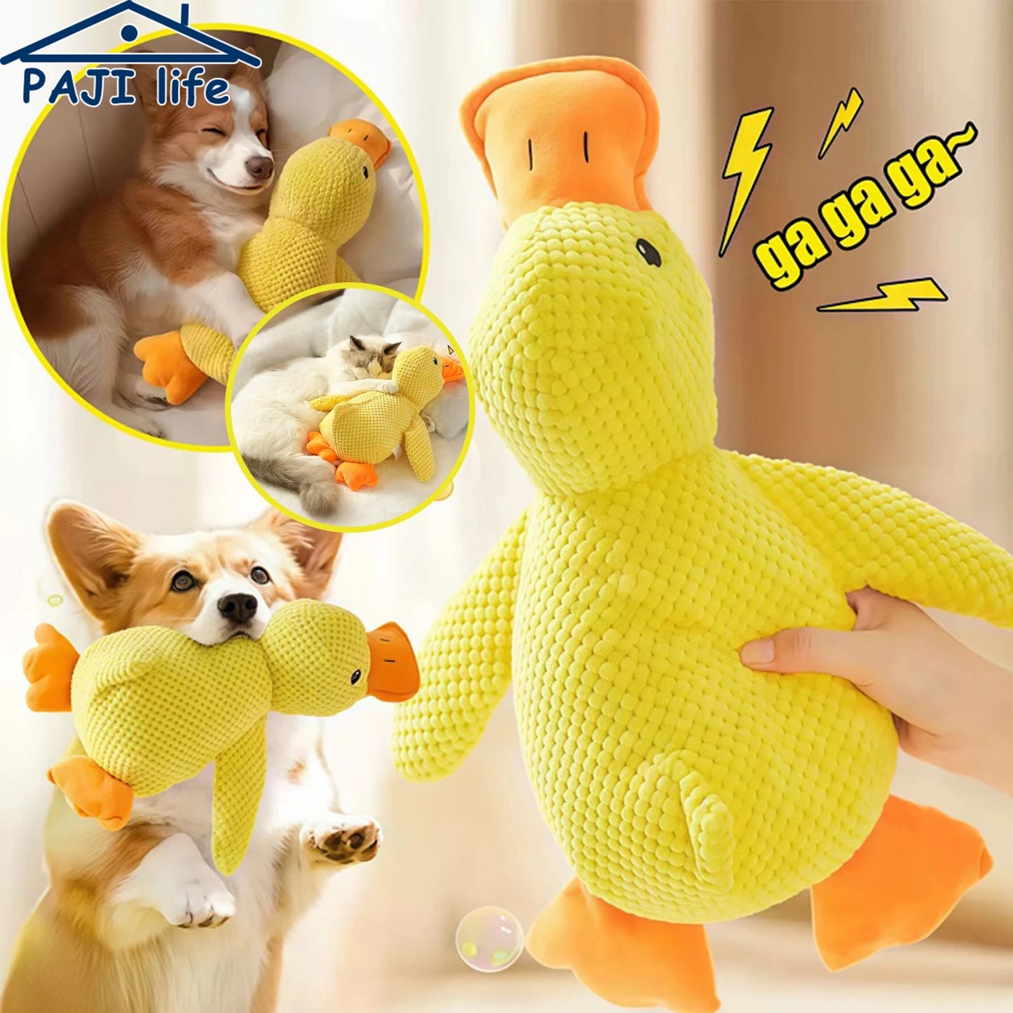 PELUCHE ANTI STRESS POUR CHIEN