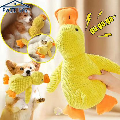 PELUCHE ANTI STRESS POUR CHIEN