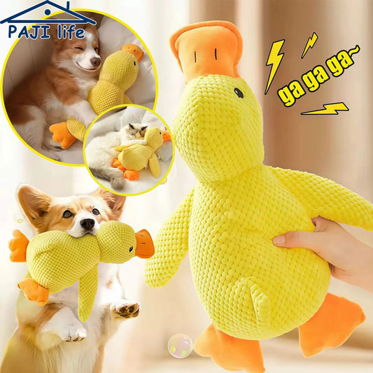 PELUCHE ANTI STRESS POUR CHIEN