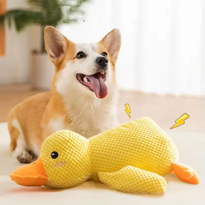 PELUCHE ANTI STRESS POUR CHIEN