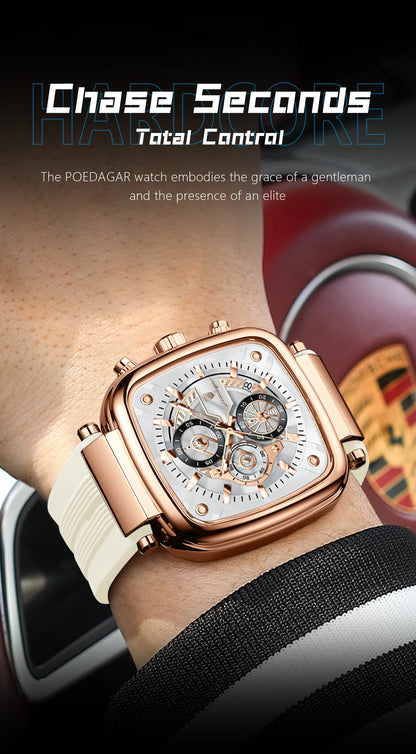 MONTRE  PEGASE
