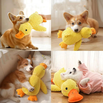 PELUCHE ANTI STRESS POUR CHIEN