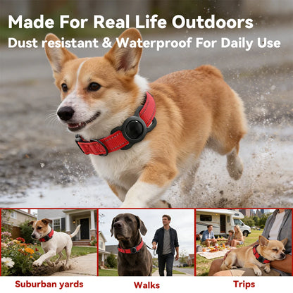 COLLIER GPS CHIEN ( compatible apple)