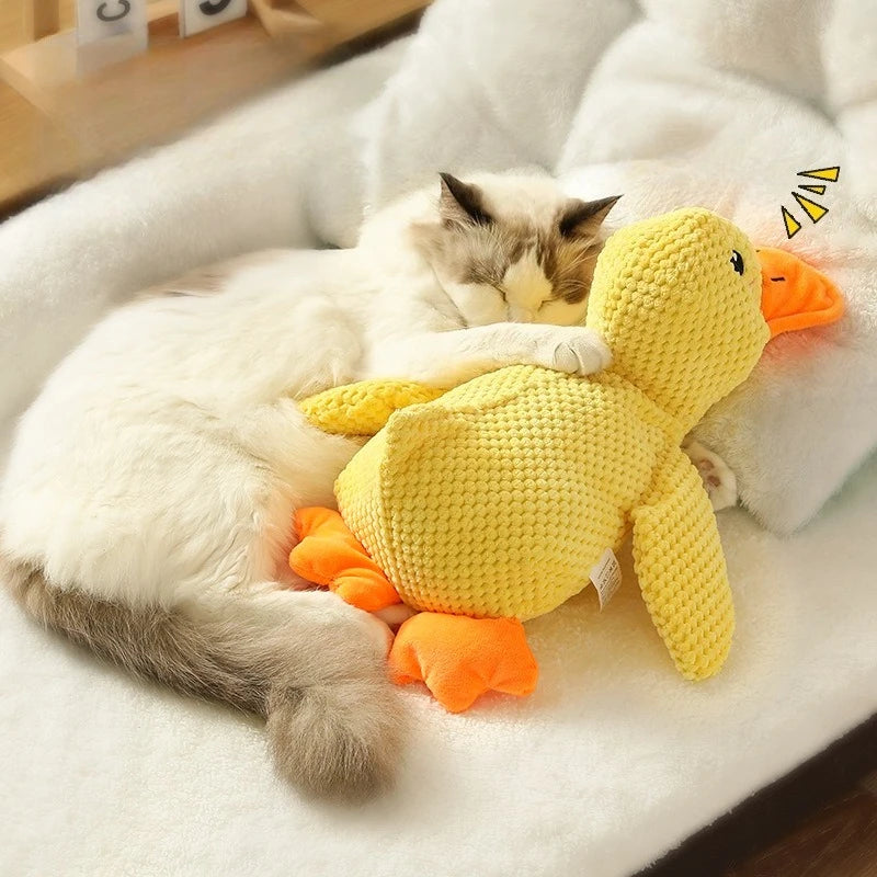 PELUCHE ANTI STRESS POUR CHIEN