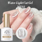 VERNIS MAGNETIQUE