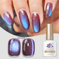 VERNIS MAGNETIQUE