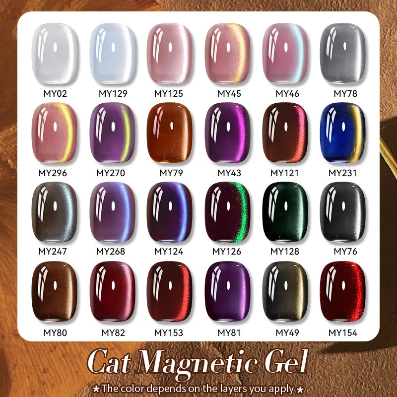 VERNIS MAGNETIQUE