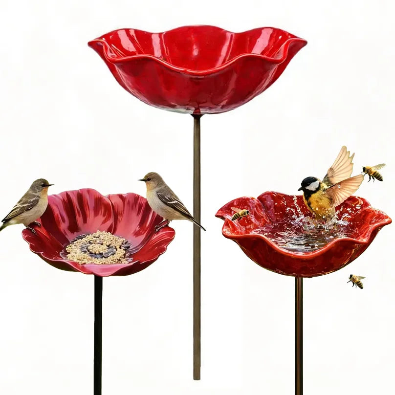 BASSIN A OISEAUX