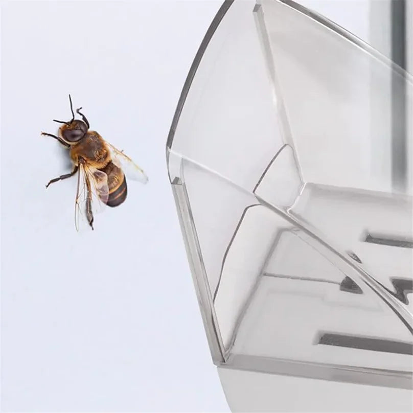 ATTRAPE INSECTES