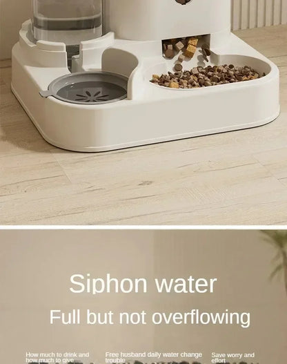 MANGEOIRE AUTOMATIQUE ET FONTAINE A EAU POUR CHAT