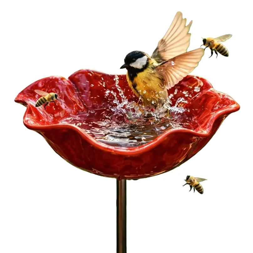 BASSIN A OISEAUX