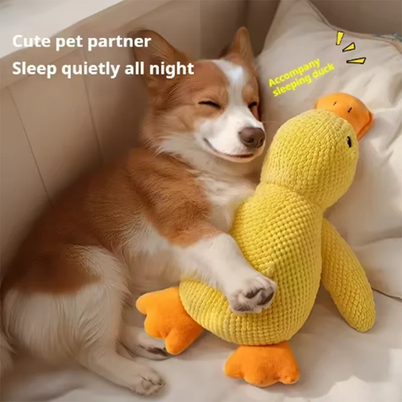 PELUCHE ANTI STRESS POUR CHIEN