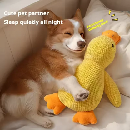 PELUCHE ANTI STRESS POUR CHIEN