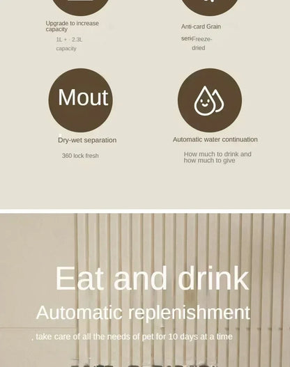 MANGEOIRE AUTOMATIQUE ET FONTAINE A EAU POUR CHAT