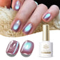 VERNIS MAGNETIQUE