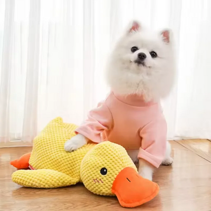 PELUCHE ANTI STRESS POUR CHIEN