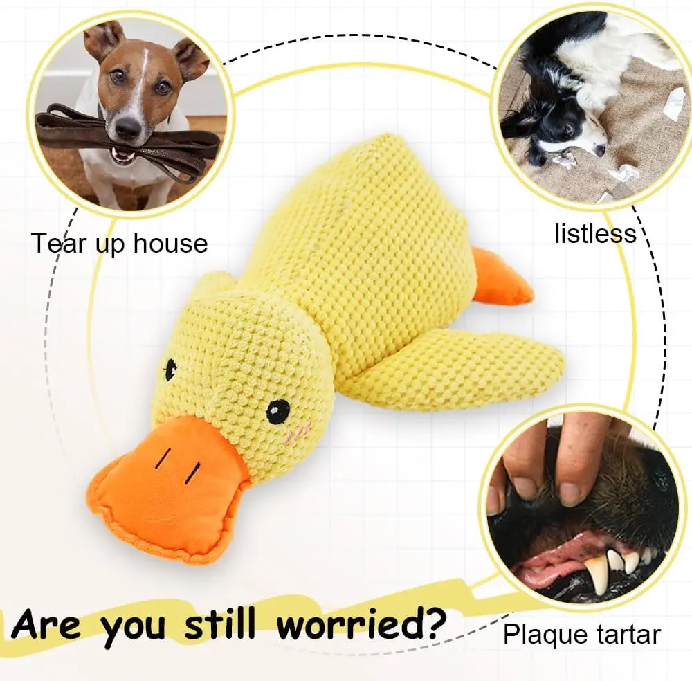 PELUCHE ANTI STRESS POUR CHIEN