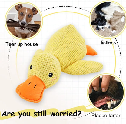 PELUCHE ANTI STRESS POUR CHIEN