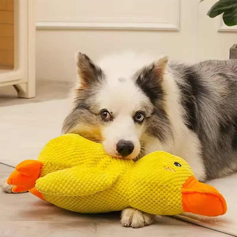 PELUCHE ANTI STRESS POUR CHIEN