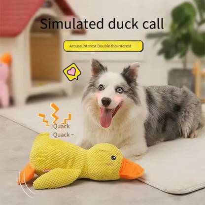PELUCHE ANTI STRESS POUR CHIEN