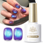VERNIS MAGNETIQUE