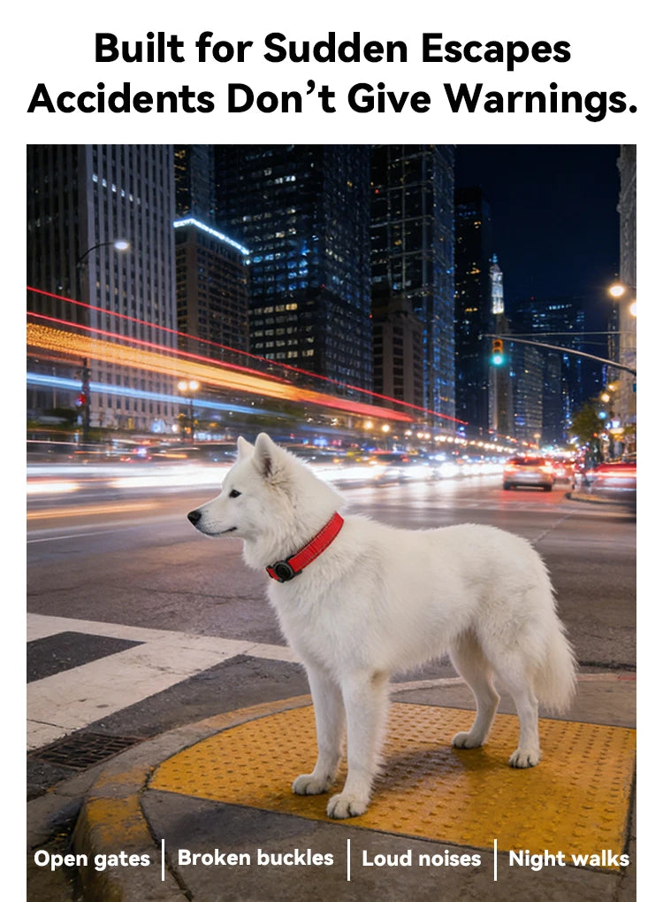 COLLIER GPS CHIEN ( compatible apple)