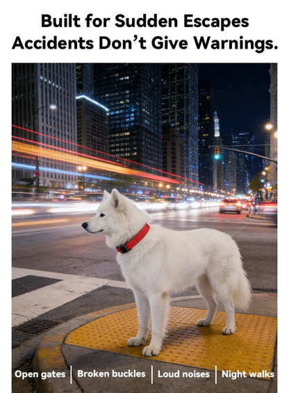 COLLIER GPS CHIEN ( compatible apple)