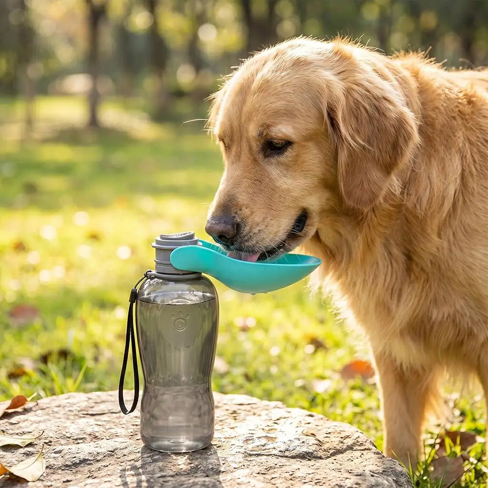 GOURDE ANIMAUX