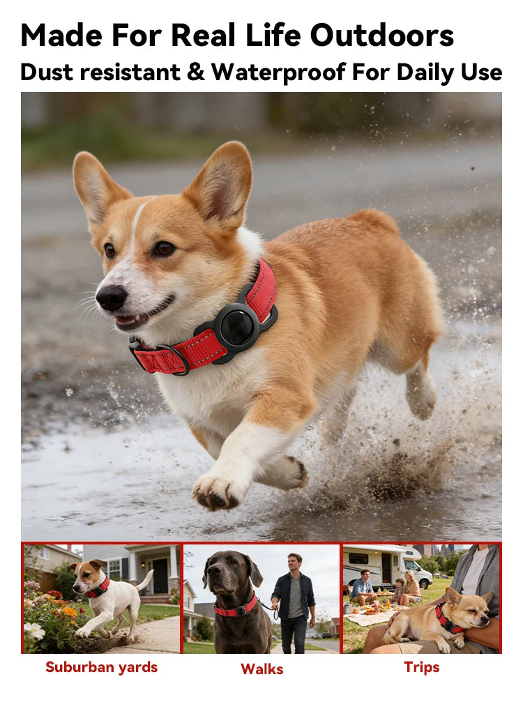 COLLIER GPS CHIEN ( compatible apple)