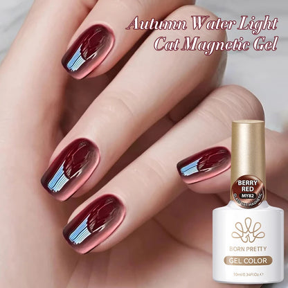 VERNIS MAGNETIQUE