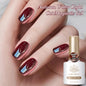 VERNIS MAGNETIQUE
