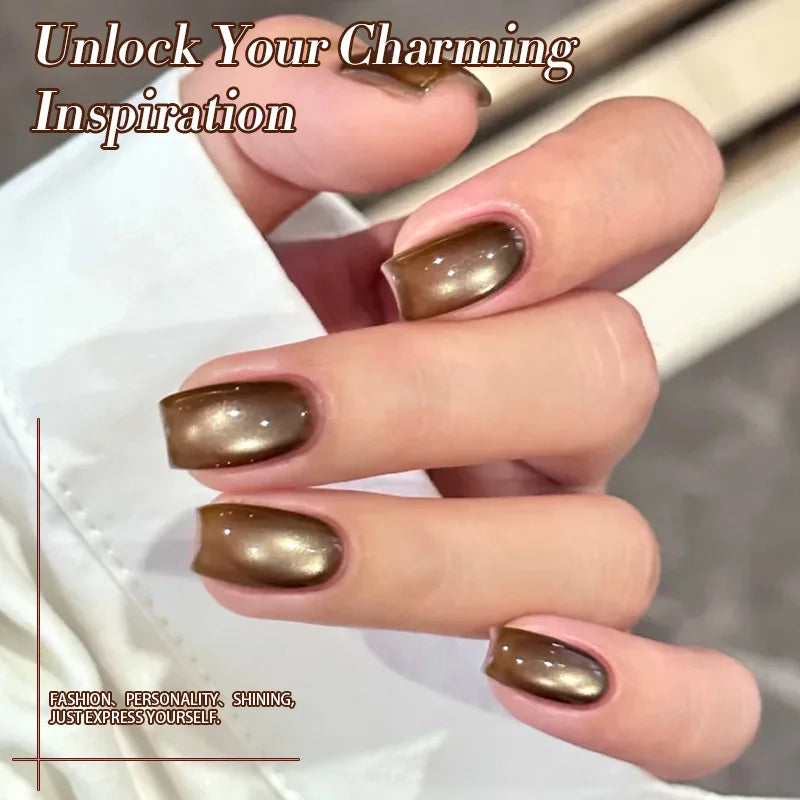 VERNIS MAGNETIQUE