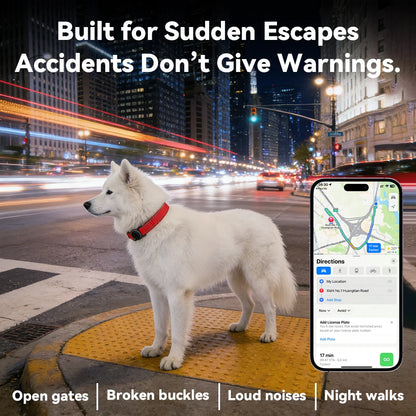 COLLIER GPS CHIEN ( compatible apple)