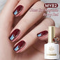 VERNIS MAGNETIQUE