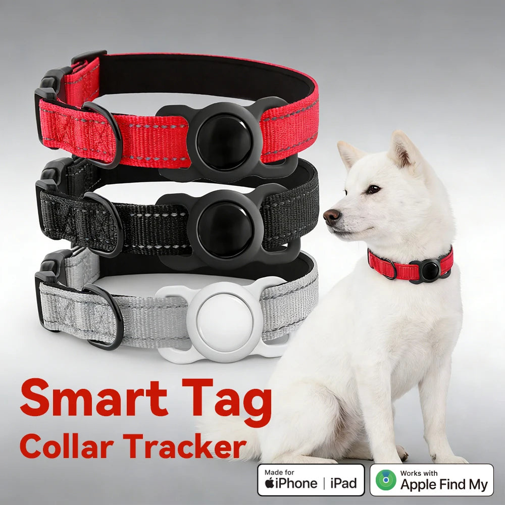 COLLIER GPS CHIEN ( compatible apple)