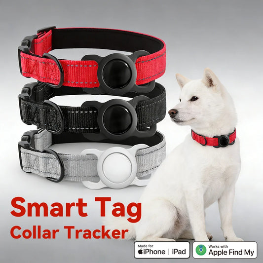 COLLIER GPS CHIEN ( compatible apple)