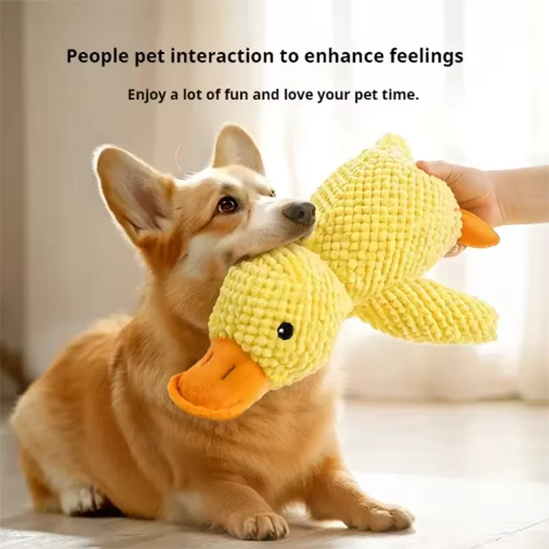 PELUCHE ANTI STRESS POUR CHIEN