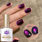 VERNIS MAGNETIQUE